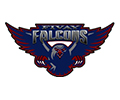 Fivay Falcons