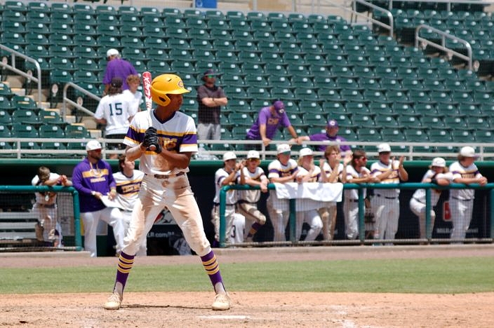 Columbia, Buchholz lead All Area baseball squad